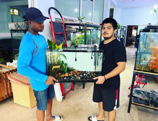 Afshin Aquatics