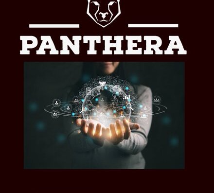 Panthera Mega Services
