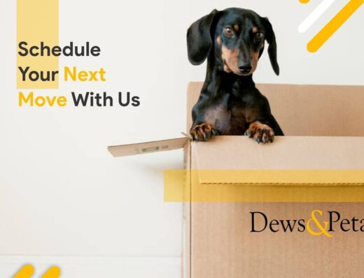 MOVER.NG – Moving Company in Abuja