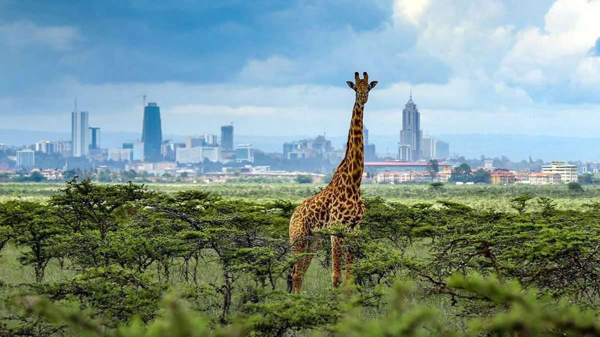 Nairobi Escape: 4 Days Couples Package - Image 2