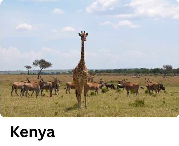Kenya