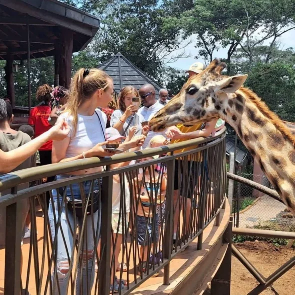 Nairobi Escape: 4 Days Couples Package