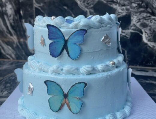 Aryas delight
